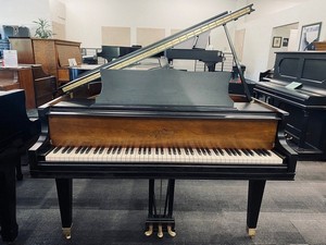 Trusted Newcastle piano store in WA near 98056