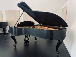 Nearly new Burien pianos for sale in WA near 98062